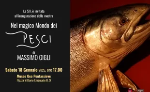 Massimo Gigli, Nel magico mondo dei pesci. Pontassieve 18 gennaio - 9 marzo 2025